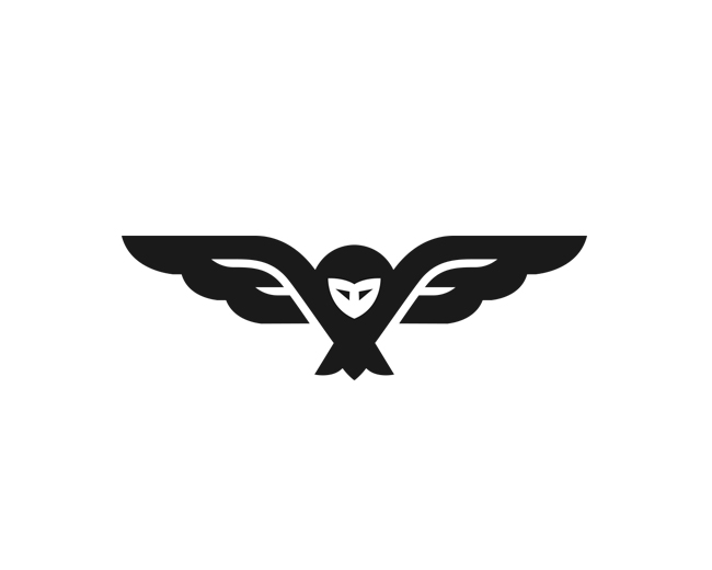 猫头鹰图形Logo灵感